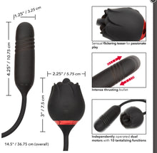 Load image into Gallery viewer, French kiss elite Rose toy