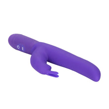 Load image into Gallery viewer, CALEXOTICS Bounding Bunny - purple