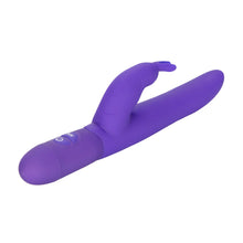 Load image into Gallery viewer, CALEXOTICS Bounding Bunny - purple