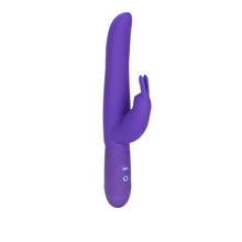 Load image into Gallery viewer, CALEXOTICS Bounding Bunny - purple