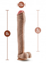 Load image into Gallery viewer, Dr. Skin - Mr. Ed - 13 Inch Dildo With Balls - Beige
