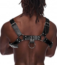 Load image into Gallery viewer, Aries Leather Harness - One Size - Black
