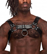 Load image into Gallery viewer, Aries Leather Harness - One Size - Black
