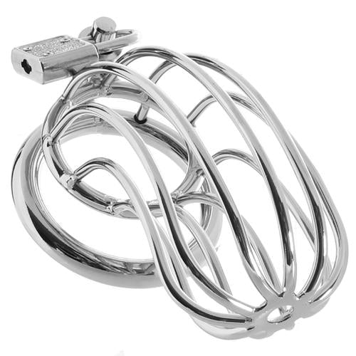 Chastity Cock Ring